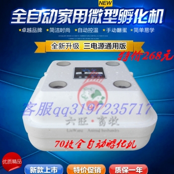 70枚孵化機(jī)