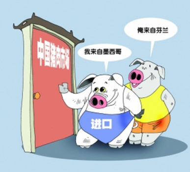 進(jìn)口量再創(chuàng)新高 后市豬價(jià)走勢堪憂