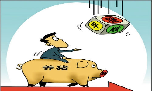 10元豬價(jià)不見，未來到底漲還是跌？