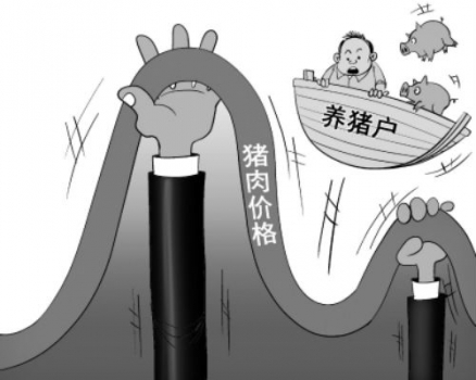 豬價已經(jīng)接近谷底 還會繼續(xù)下跌嗎？