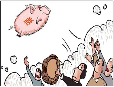 8月豬價還有一波好行情 是真的么？