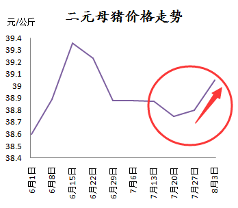 二元母豬仍在漲，這是后期仍要看好的節(jié)奏？