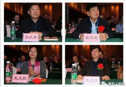 亞13.jpg