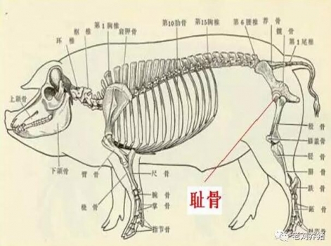 QQ截圖20170504091629.jpg
