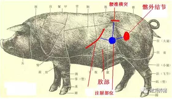 QQ截圖20170504091643.jpg