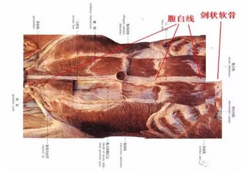 QQ截圖20170504091658.jpg