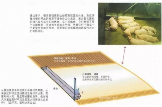 決定圈欄的布局的重點是飼料的位置？
