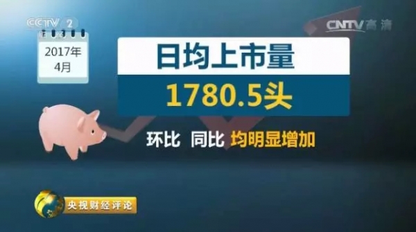 3.webp.jpg