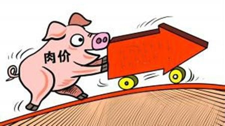 今日豬價(jià)分析：豬價(jià)再次滯漲