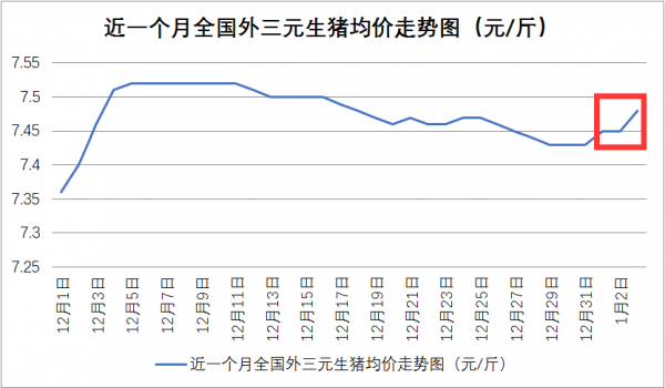 漲了！漲了！15省豬價(jià)全線飄紅，但這2點(diǎn)不注意漲價(jià)也白搭....