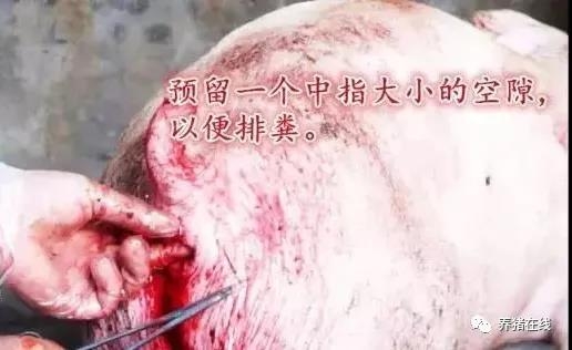 微信圖片_20180212090732.jpg