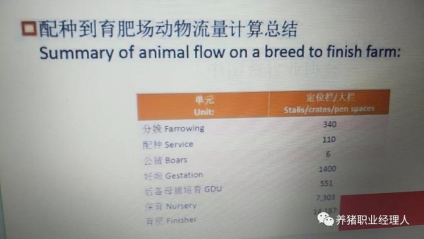 批次管理--提高種群健康及生產(chǎn)效率最為有效的方式