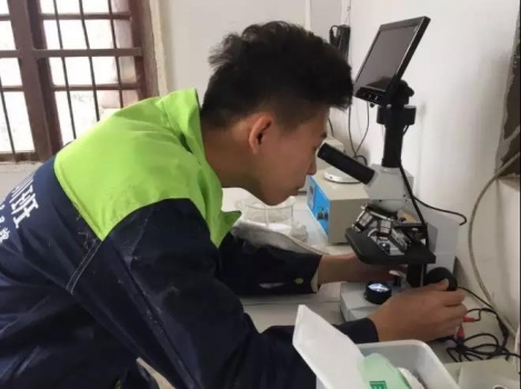 精液稀釋標準流程，你是這樣做的嗎？