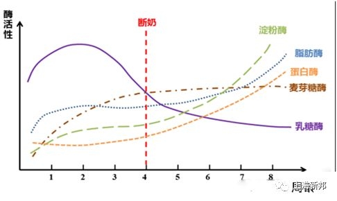 保育仔豬不好養(yǎng)，豬場如何預(yù)防？