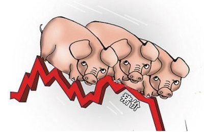 豬價否極泰來， “豬周期”磨底進(jìn)行時