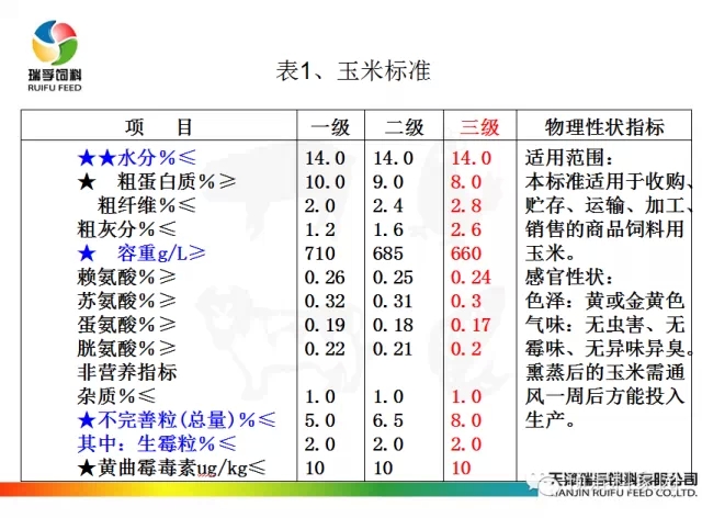 對于玉米不得不知道的事情